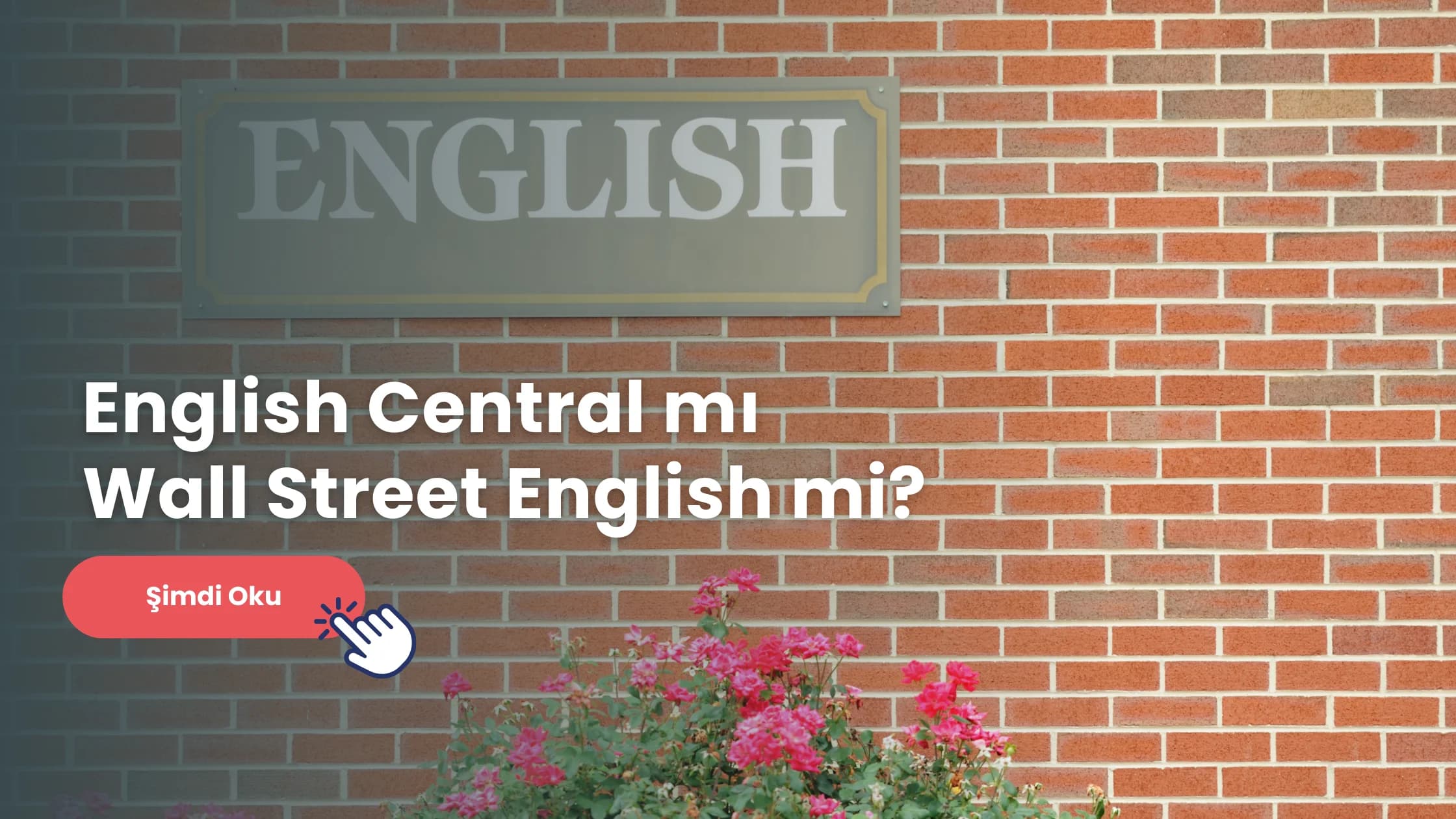 English Central mı Wall Street English mi karşılaştırmasının galibini öğrenmek için bu yazıya bir göz atabilirsiniz.
